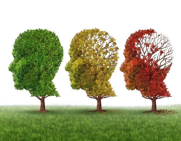 Memory loss and brain aging due to dementia and alzheimer's disease as a medical icon of a group of color changing autumn fall trees shaped as a human head losing leaves as intelligence function on a white background.