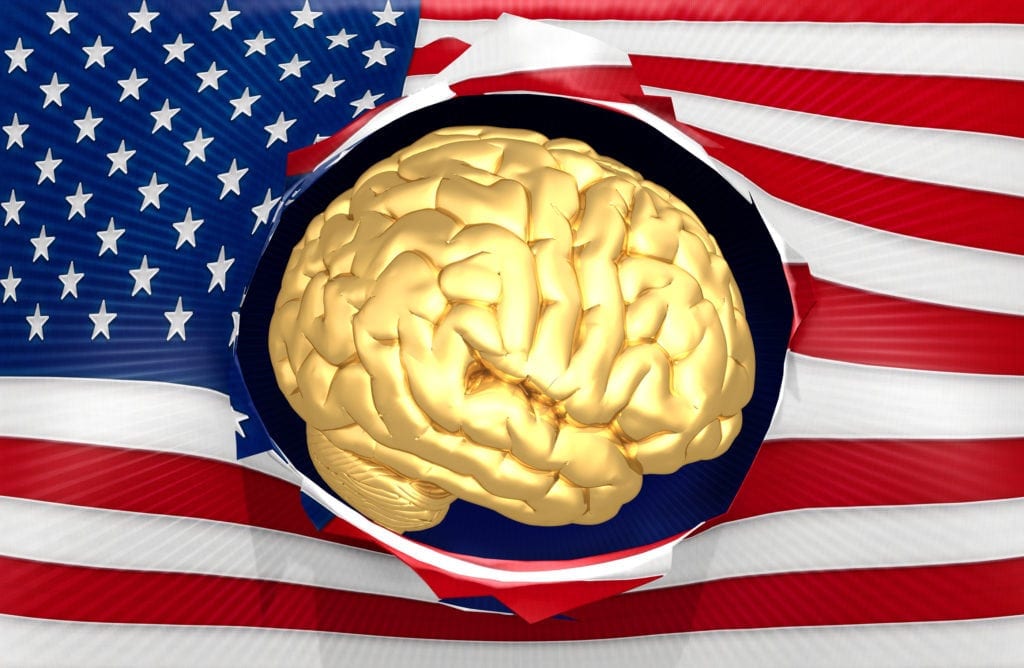 American flag with brain