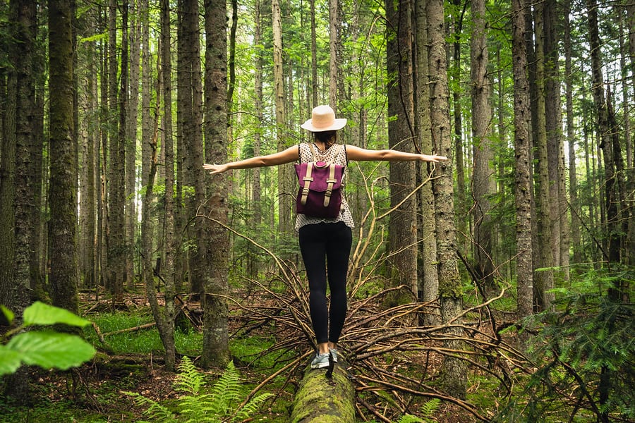 Woman In Forest Nature In Vacation. Woman In Nature. Green Fores