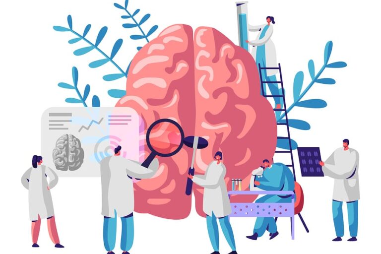 scientists studying a brain