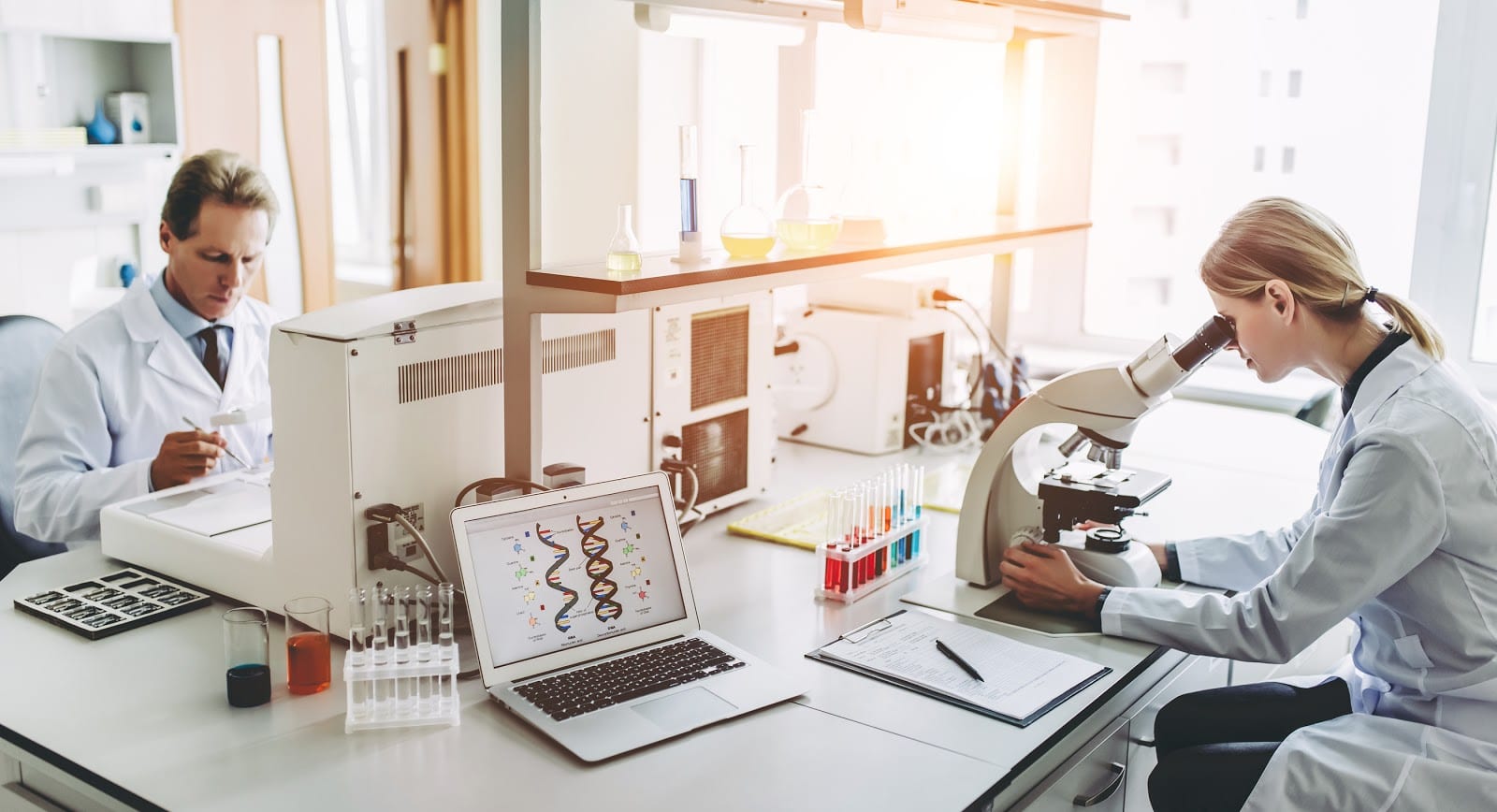 Scientists working in a laboratory